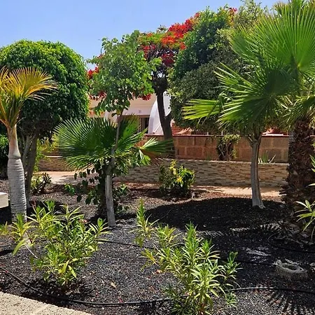 Apartment Atlantic Erica - The Palms - 4 Pools & Garden - Golf Del Sur San Miguel de Abona