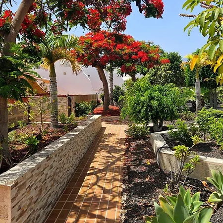 Atlantic Erica - The Palms - 4 Pools & Garden - Golf Del Sur Apartment